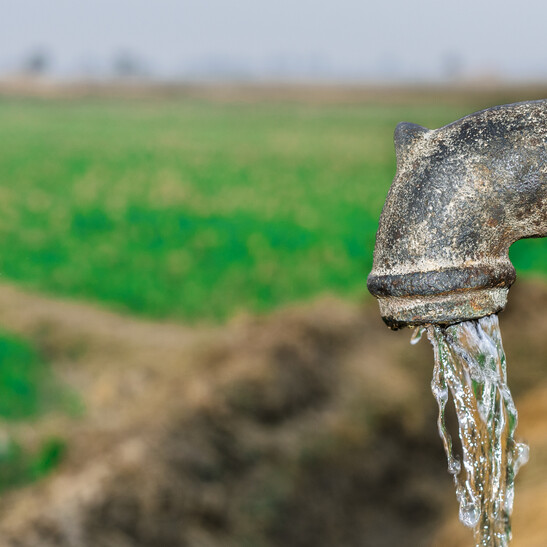 L'irrigazione delle colture agricole è fra le cause della crisi idrica, accanto al cambiamento climatico e lala crescita demografica (fonte: zms, iStock)